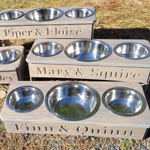 3 bowl dog feeder -Feeding in style