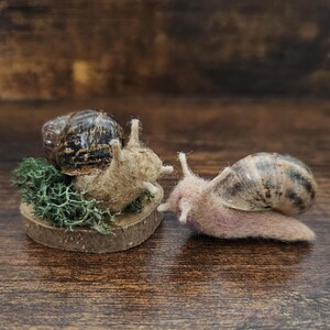 Felted Snail - Handmade Needle Felted Realistic Snail, Real Shell ...