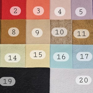 Puede incluir: Una carta de colores con veinte cuadrados de fieltro en varios colores. Los colores incluyen tonos de rojo, naranja, verde, marr&oacute;n, azul, morado y tonos neutros como el beige y el gris. Cada cuadrado est&aacute; numerado.