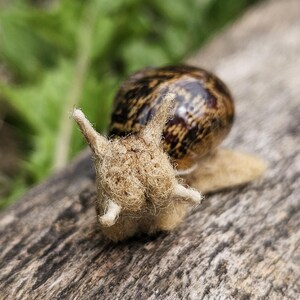 Felted Snail - Handmade Needle Felted Realistic Snail, Real Shell ...