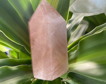 Pointe de Quartz Rose