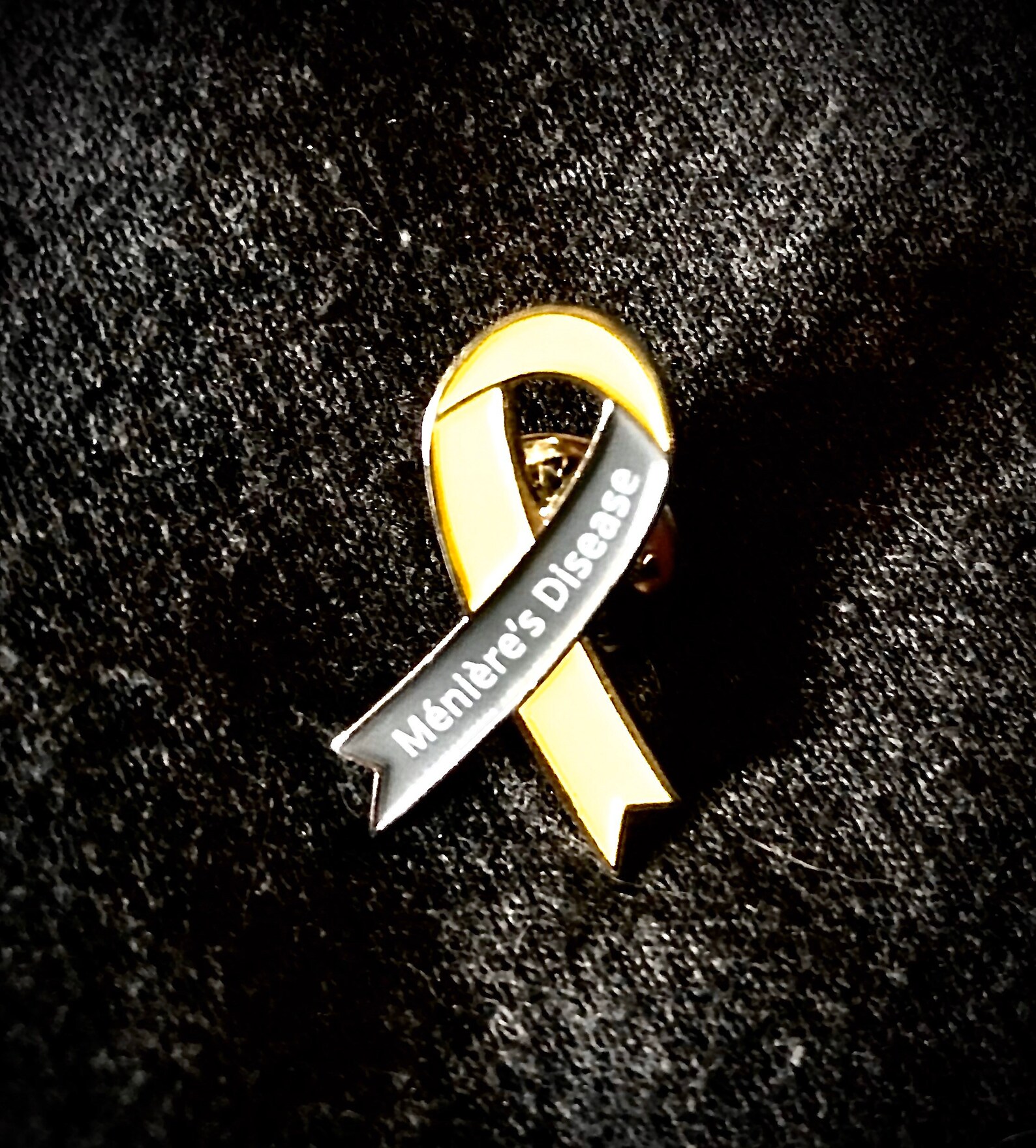 Ménière's Disease Awareness Ribbon Pin Goud & Zilver Etsy