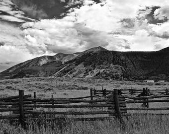 Don't Fence Me In - Modern Black and White Aluminum Photography