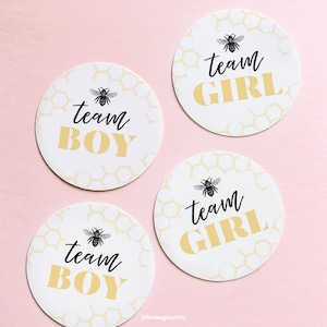 Team Boy Team Girl Bee Theme Gender Reveal Stickers, Vintage Bee Baby Gender Reveal Team 1.5 inch Circles, Honeycomb Gender Reveal Decor