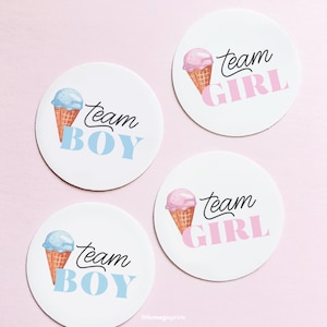 Ice Cream Gender Reveal Stickers, What&#39;s the Scoop Gender Reveal Team Boy Team Girl Stickers, Ice Cream Scoop Gender Reveal Decorations