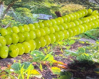 Green Quartz Gemstone Rondelle Beads 8mm x 5mm   Smooth Lime / Olive / Apple Chartreuse tone  Beads  1mm Hole Jewellery Making Supplies