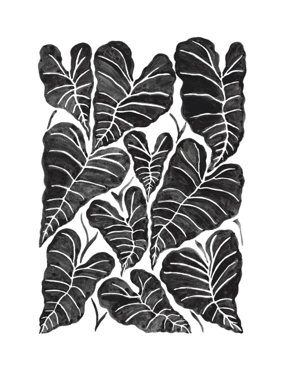 Elephant Ears Print