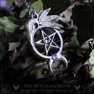 Pentagram and raven skull pendant with amethyst or garnet, pagan necklace, gothic jewelry