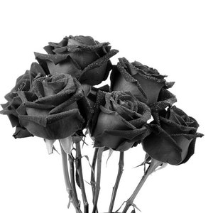 DIY Black Rose Soap Bar Download,  Recipe PDF, Handmade Skincare Gift Idea