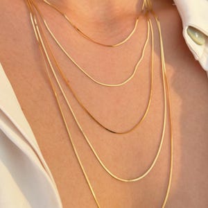 May include: A set of five layered gold-toned snake chain necklaces of varying lengths. Each chain features a smooth, flat, and flexible link design that rests against the neck and chest, creating a cascading effect of thin, reflective metallic strands.