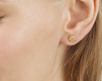 Seashell Stud Earrings 14K Solid Yellow Gold Clam Shell Earrings, Women Gold Sea Studs, Mini Beach Tropical Earrings