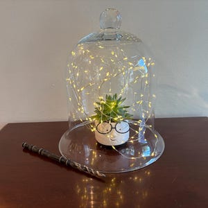Vintage Large 11” H Blown Glass Bell Jar Garden Cloche with Knob Handle and Rolled Edge Base