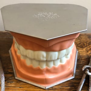 Vintage 1960s Lactona 5 3/4” W Dental Mouth Model Morris Plains, NJ Hinged Dentist’s Toothbrushing Demonstration