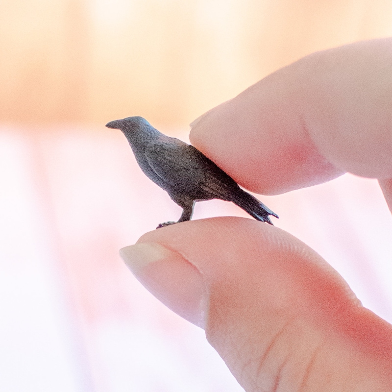 Miniature Wizard With Raven - Etsy