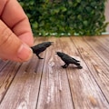 Handmade Miniature Ravens, Mini Set of 2 Black Crows, Style 2