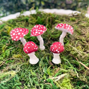 Puede incluir: Cinco setas en miniatura de color rojo y blanco con manchas blancas y tallos blancos. Las setas están dispuestas sobre un lecho de musgo verde.