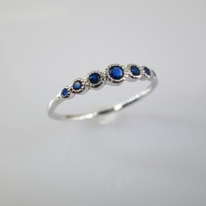Pu&ograve; includere: Un anello d'argento con una fila di sette piccole pietre blu rotonde.