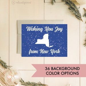 New York Christmas Cards, New York Holiday Cards, State Christmas Card Set, NY Holiday Greeting Cards, New York Cards, State Card Pack, ST22
