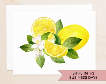 Lemon Cards - Lemon Folded Note Cards - Citrus Cards - Social Stationery - Stationary - Citrus Gift - Blank Cards with Envelopes - QSLM