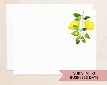 Lemon Flat Cards - Lemons Note Cards - Citrus Notecards Gift - Social Stationery - Blank Note Cards with Envelopes - Stationary - QSLM