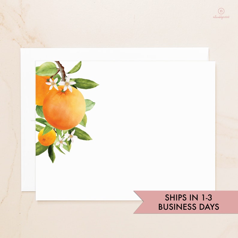 Orange Flat Cards Oranges Note Cards Citrus Notecards Gift Social Stationery Blank Note Cards with Envelopes Stationary QSOR image 1