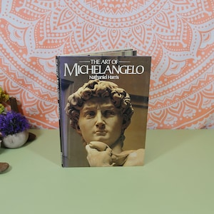 Livre vintage L&#39;art de Michel-Ange