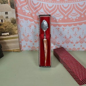 Vintage Decorative Spoon With Box