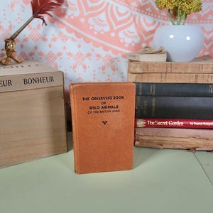 Könnte beinhalten: Ein kleines, orangefarbenes Buch mit dem Titel "The Observer's Book of Wild Animals of the British Isles".