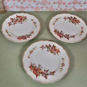 Royal doulton wilton - Etsy 日本