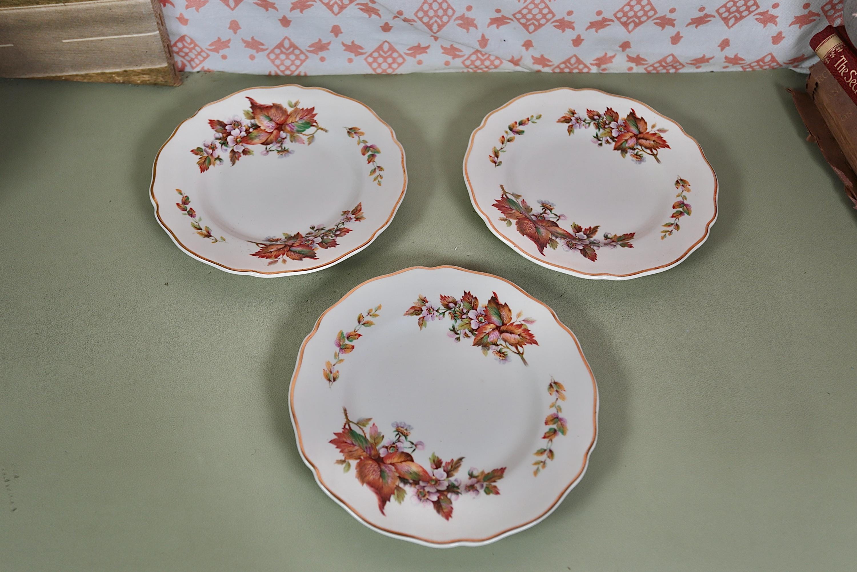 Revol plate - Etsy 日本