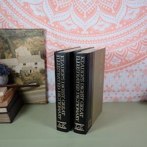 Vintage Books Readers Digest Great Illustrated Dictionary 2 Volumes