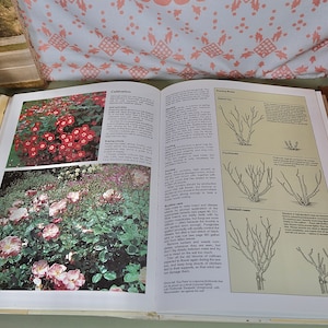 Vintage Book The Encyclpedia Of Gardening Book Stanley Russell