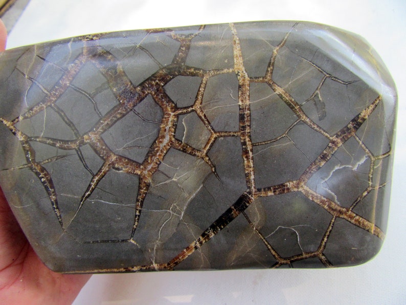 Septarian Nodule Geode Chunk Block, Calcite, Aragonite, Utah Dragon ...