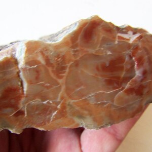 May include: A close-up of a rough, light brown and orange agate stone with a white vein running through it.