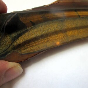 May include: A close-up of a tiger's eye gemstone with a brown, gold, and black color pattern. The gemstone has a smooth, polished surface.