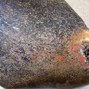 Large Gem Dinosaur Bone piece, Quartz and agatized Rare