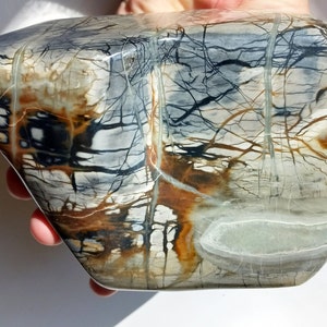Picasso Marble Jasper Freeform block-ish Paperweight abstract art