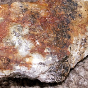 May include: A close-up of a rough, white and brown rock with gold flecks. The rock has a layered appearance with some areas of dark brown and black.