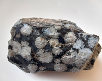 Snowflake Obsidian Chunk, Raw, Knapping supply, Volcanic Glass