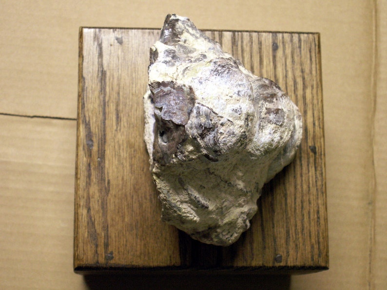 Geode Night Light Lighted Geode on Custom Made Wooden Box Etsy