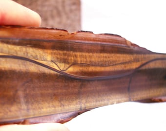 Banded Tiger Iron Slab: Cut & Polished Gemstone Chunk