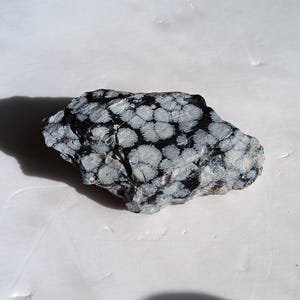 May include: A close-up of a gray and black speckled stone with a white background. The stone has a unique pattern of white spots on a dark gray background.