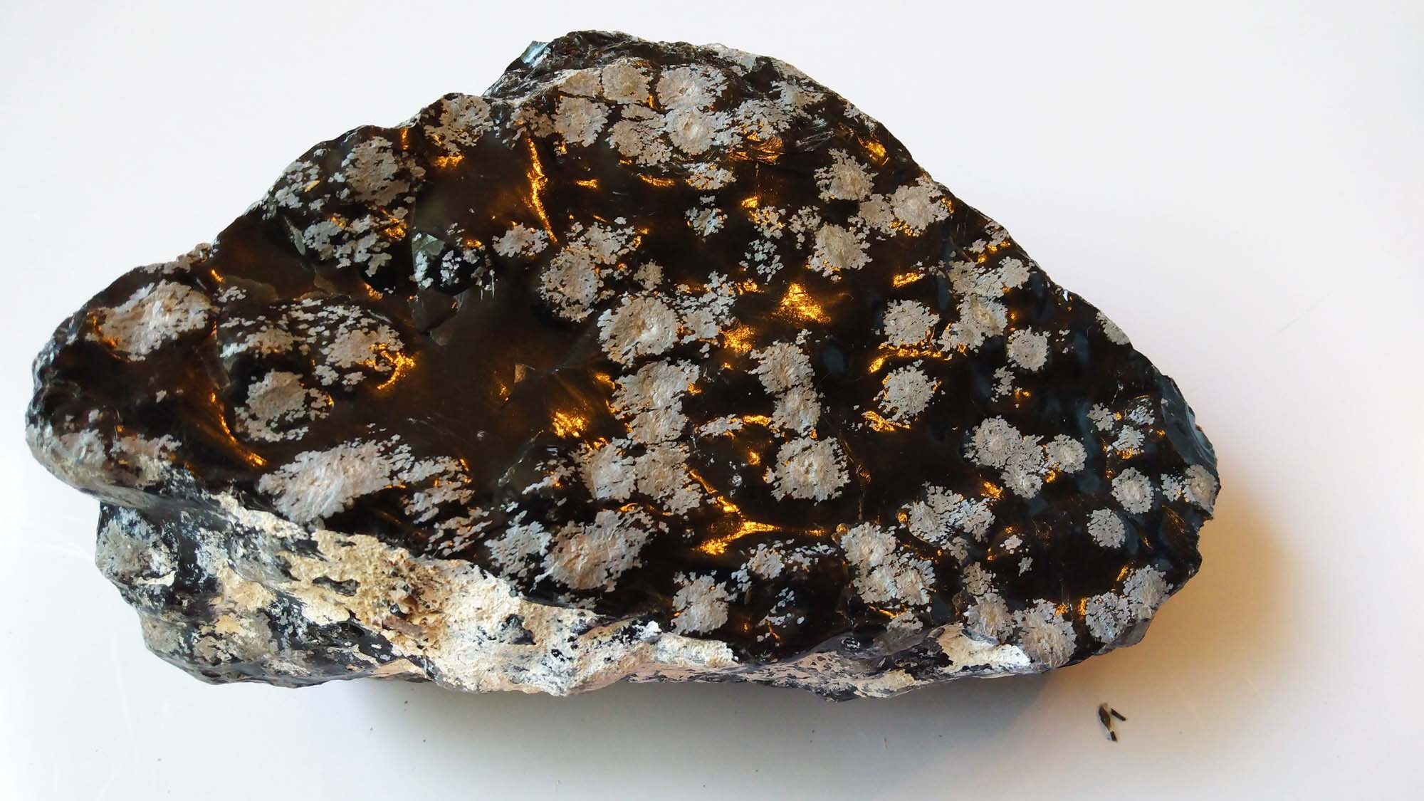 Snowflake Obsidian Large Chunk Black Obsidian Knapping Etsy Ireland