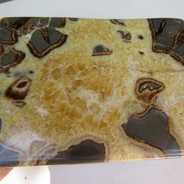 Septarian Nodule Square block Geode Nodule, Calcite, Aragonite, Utah Dragon Stone Cut Polished With a bit of Bismuth