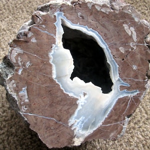Large Utah Dragon Stone Geode: Unpolished Thunder Egg