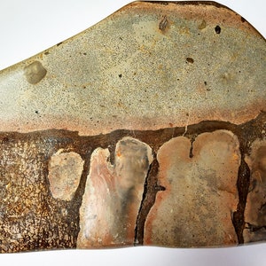 Dinosaur Bone chunk, showing cell structure, Gem dino bone Unique