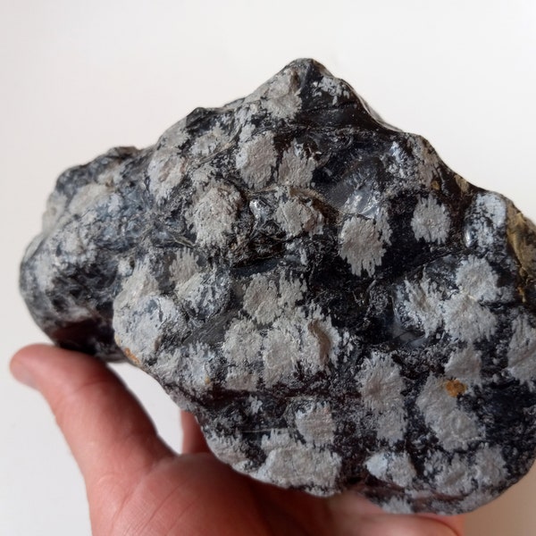 Snowflake Obsidian Chunk, Raw, Knapping supply, Volcanic Glass
