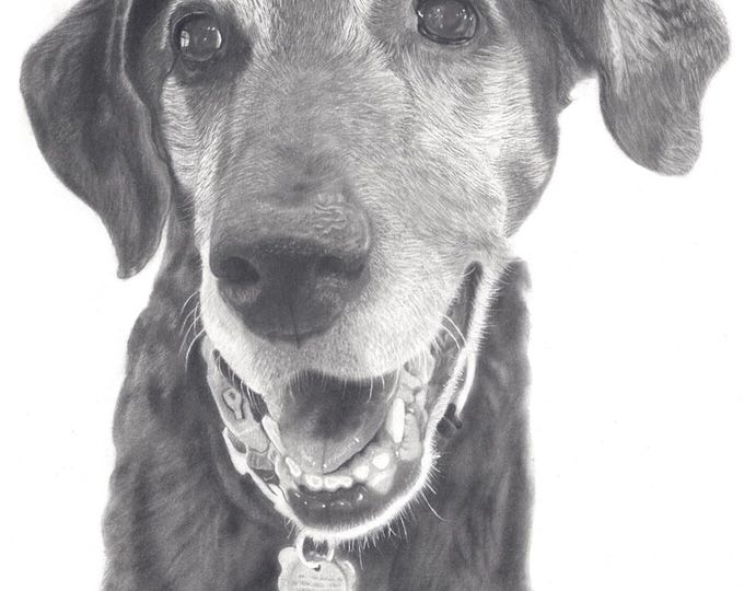 Custom Pet Portrait from Photo – Personalized Pet Hand-Drawn Pet Art, Gift for Pet Lovers, Memorial Pet Portrait, Graphite/Charcoal art