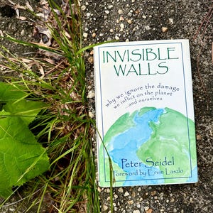 Puede incluir: Un libro titulado "INVISIBLE WALLS" con una ilustración en acuarela de la Tierra. La portada presenta texto en verde y azul, con el nombre del autor y un prólogo. El libro está sobre una superficie gris texturizada con hierba verde.