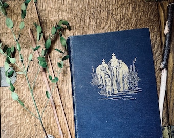 Antiguo Los dos libros de la selva 1895